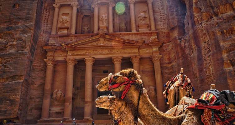 Kamelen die rusten voor de Schatkamer in Petra met ingewikkelde gravures.