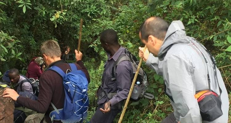 3 Days Uganda Gorilla Trekking- Luxury Option - Classic Journeys Africa Ltd 2
