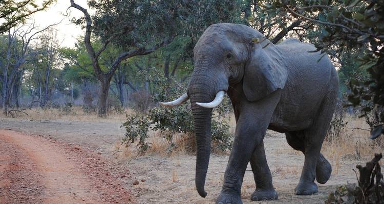 Aventura de 20 días de playas, safaris y maravillas culturales - Across Africa Tours & Travel 4