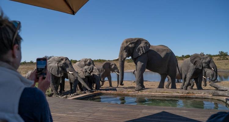 Aventura de 20 días de playas, safaris y maravillas culturales - Across Africa Tours & Travel 7