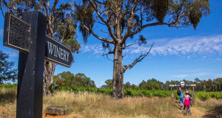 Tour de Beechworth to Bright -  Easter Weekend Guided tour - Tour de Vines 3