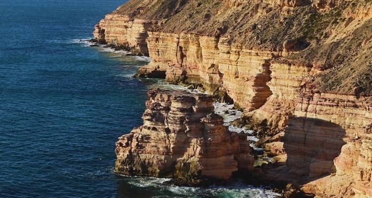 Western Australia Wildflowers Road Trip - Australia and New Zealand Travel Company 3
