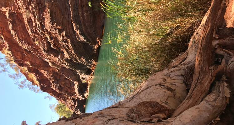 Parc national de Karijini, stations et exploration du récif de Ningaloo - Circuit de 6 jours - Via Travel Australia 2