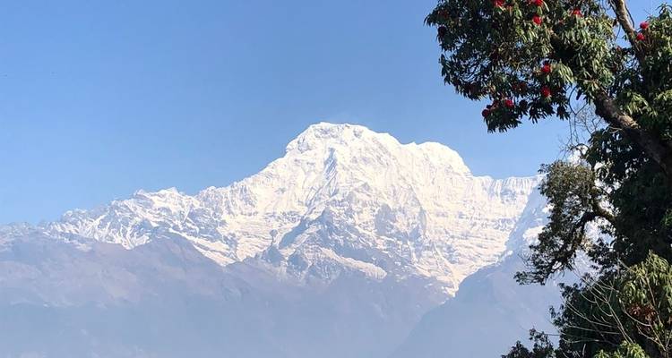 Gros plan d'un sommet de montagne enneigé dans l'Himalaya.
