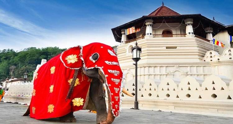 Aventura en el noreste de Sri Lanka con escapada a la playa de Trincomalee - Wanderful Holidays LLC 1