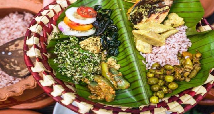 Aventura en el noreste de Sri Lanka con escapada a la playa de Trincomalee - Wanderful Holidays LLC 4