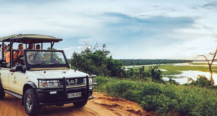 Tierras Salvajes del Sur de África: Safari por Tierra y Agua (De Johannesburgo a las Cataratas Victoria) (2025) - Collette 7