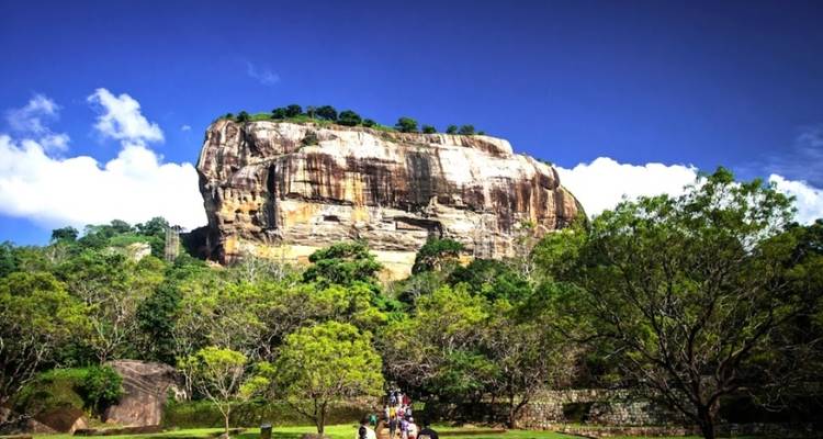 Le riche patrimoine du Sri Lanka, les sentiers du thé, les trains panoramiques, la faune et les plages avec repas. - Wanderful Holidays LLC 9
