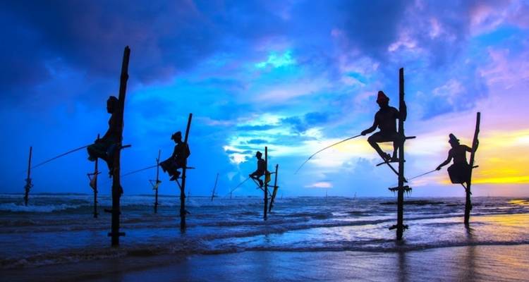 Le riche patrimoine du Sri Lanka, les sentiers du thé, les trains panoramiques, la faune et les plages avec repas. - Wanderful Holidays LLC 7