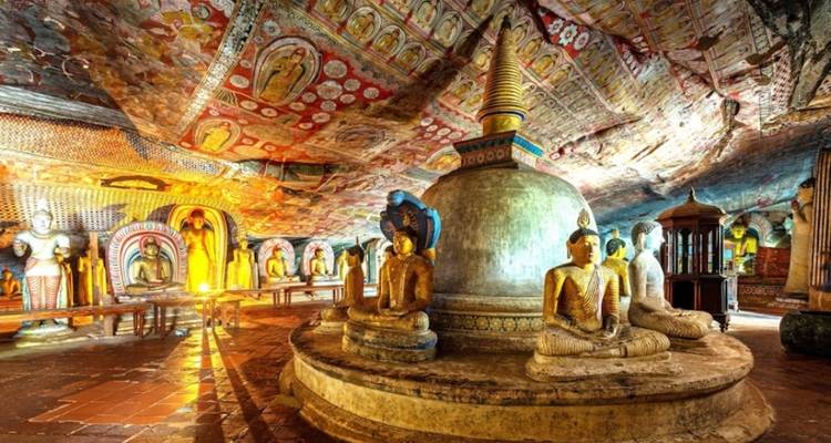 Le riche patrimoine du Sri Lanka, les sentiers du thé, les trains panoramiques, la faune et les plages avec repas. - Wanderful Holidays LLC 6