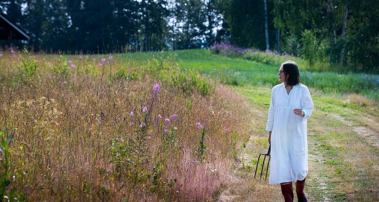 Semana de la naturaleza, hierbas y belleza en Carelia del Norte, Finlandia - Aksyt Ammat Ltd 7