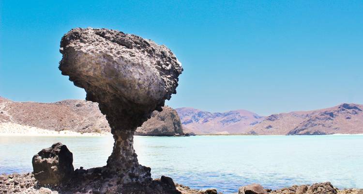 Viaje Cultural a las Playas de Baja California y La Paz 4D/3N - Bamba Travel 5