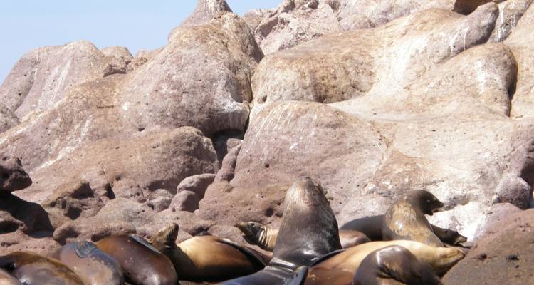 Viaje Cultural a las Playas de Baja California y La Paz 4D/3N - Bamba Travel 1