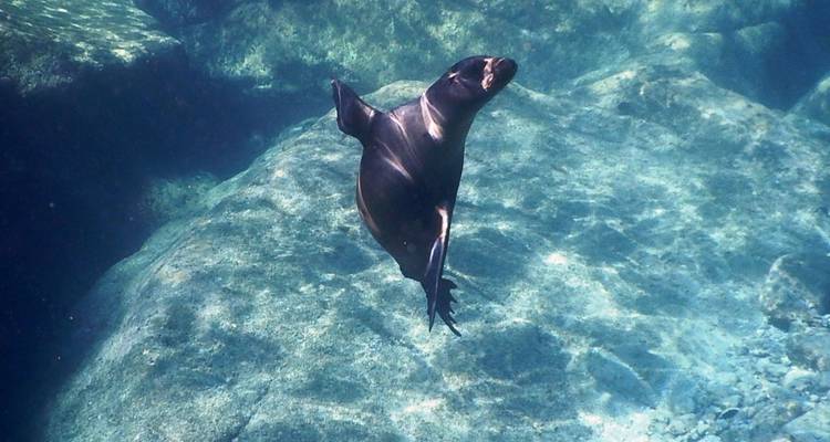 Viaje Cultural a las Playas de Baja California y La Paz 4D/3N - Bamba Travel 2