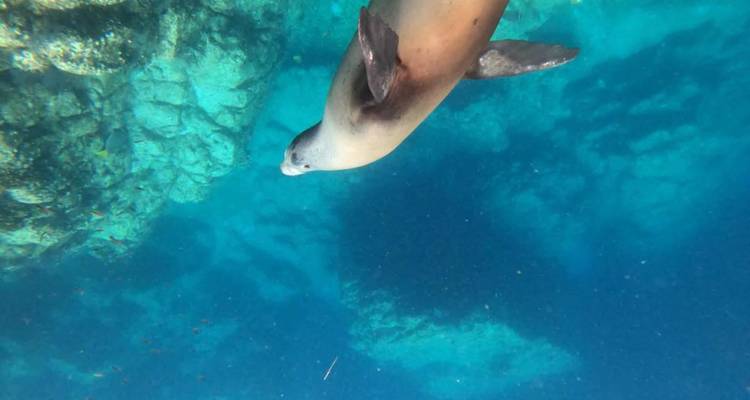 Viaje Cultural a las Playas de Baja California y La Paz 4D/3N - Bamba Travel 9