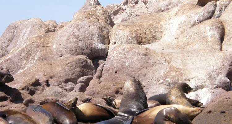 Viaje Cultural a las Playas de Baja California y La Paz 4D/3N - Bamba Travel 10
