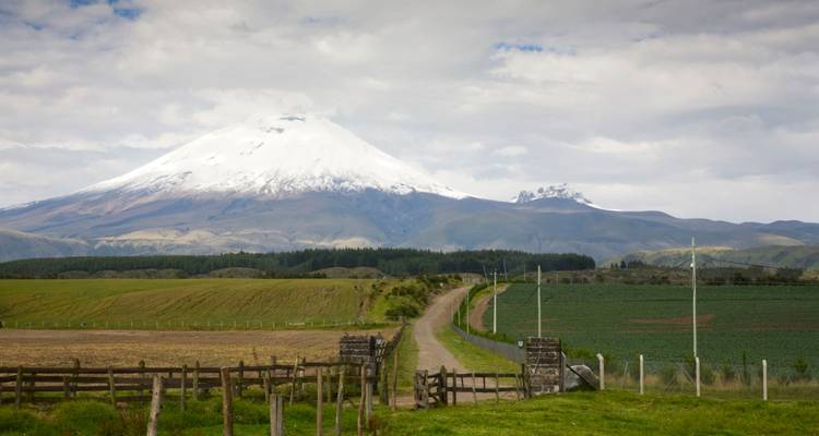 Ecuador Encantado: Selva, Andes y Cultura 9D/8N - Bamba Travel 1
