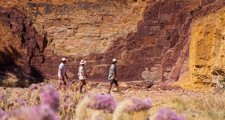 4 Day Red Centre Uluru to West MacDonnell 4WD Tour - to/from Alice Springs - Autopia Tours 8