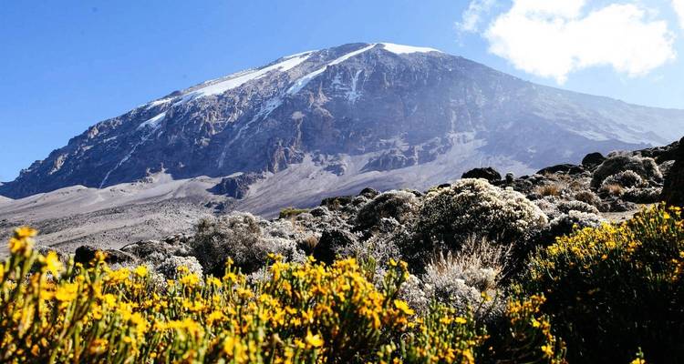 Ascension du Mont Kilimandjaro (Route Lemosho) - 8 jours - Expeditions Gateways 3