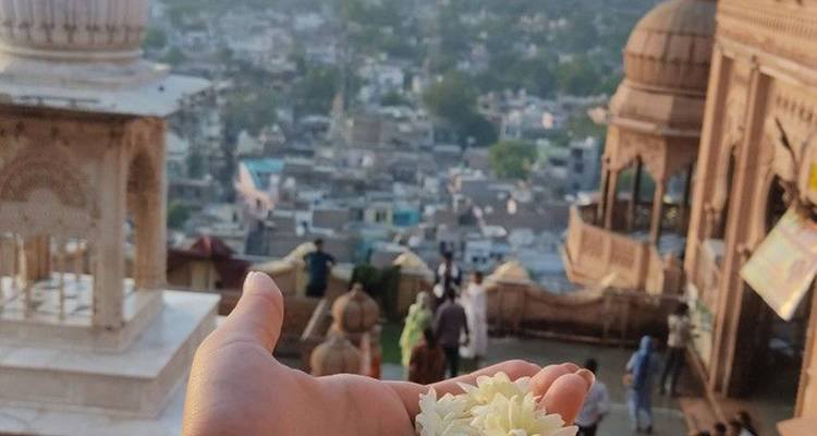 Desde Delhi: Excursión de 3 días a Mathura y Vrindavan -  Taj Voyages Tours  4