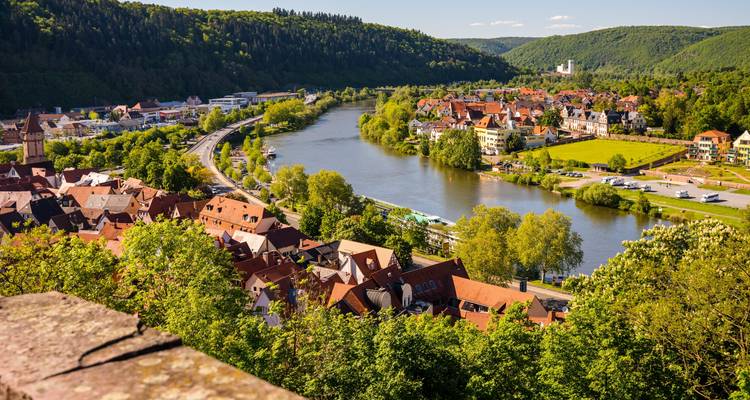 Paisajes fluviales alemanes de Tréveris a Passau (Tréveris - Passau) (12 destinations) - Lueftner Cruises 7