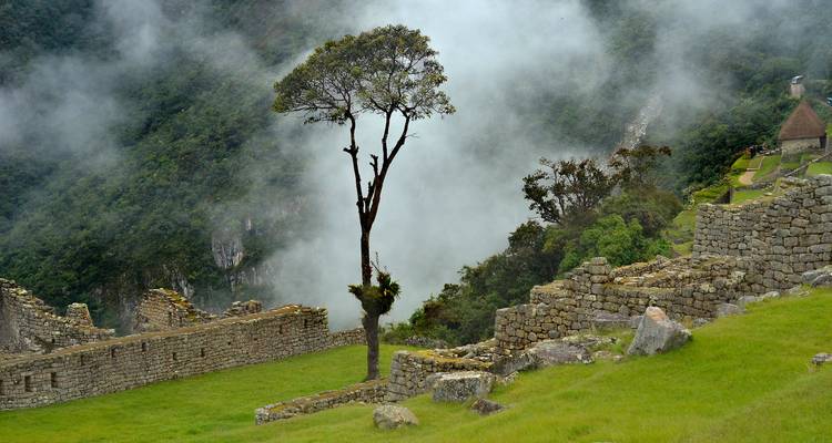 ULTIMATE PERU ADVENTURE IN 7 DAYS: EXPLORE CUSCO, SHORT INCA TRAIL, MACHUPICCHU & PUNO – LOCAL FLIGHTS INCLUDED - Waman Adventures 4