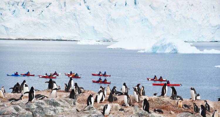Highlights of the Southern Spring 9D/8N - Albatros Expeditions 3