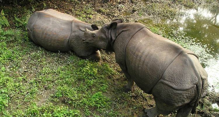 Kathmandu, Pokhara, Chitwan (A journey of Lifetime experience) - Liberty Holidays 7