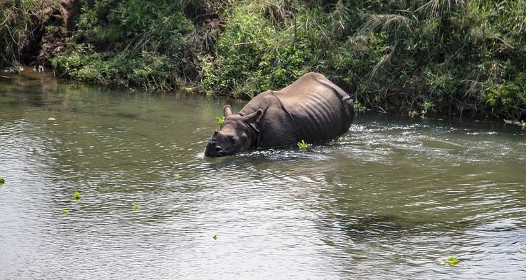 Un inolvidable recorrido de 9 días por Nepal - Liberty Holidays 10