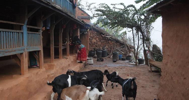 Découvrez la vie au village : séjour chez l'habitant à Kumpur - Liberty Holidays 3