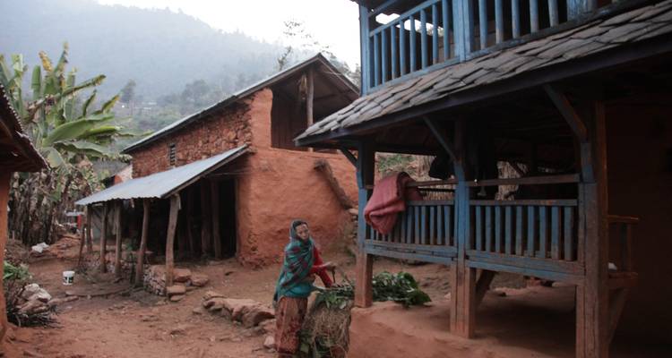 Découvrez la vie au village : séjour chez l'habitant à Kumpur - Liberty Holidays 4