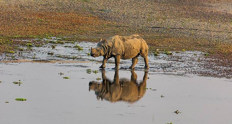 La agradable ciudad de Pokhara con un cautivador recorrido por la jungla de Chitwan desde Katmandú - Liberty Holidays 8