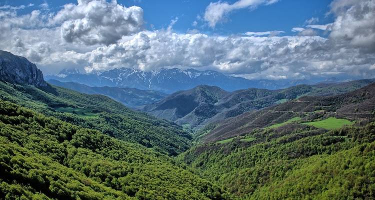 5 días en Zúrich con transbordador del lago, teleférico, monte Rigi, Grindelwald e Interlaken - STM Tours LLC 1