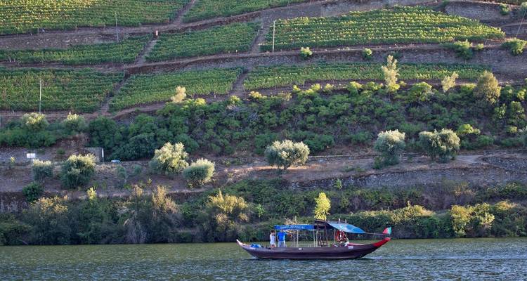 Douro Valley self-guided bike tour - Authentic Trails 4