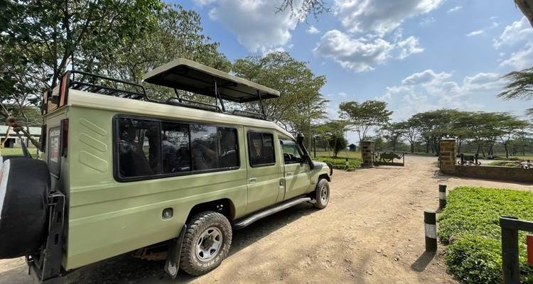 Safari de 9 Días por Aberdare, el lago Nakuru, Masai Mara, el lago Naivasha y Amboseli - Gracepatt Ecotours Kenya 4