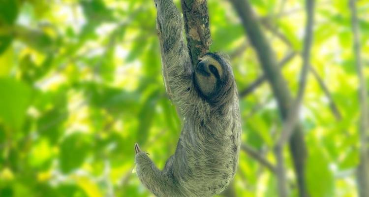 Best of Panama mit Badeverlängerung - Oasis Travel 2