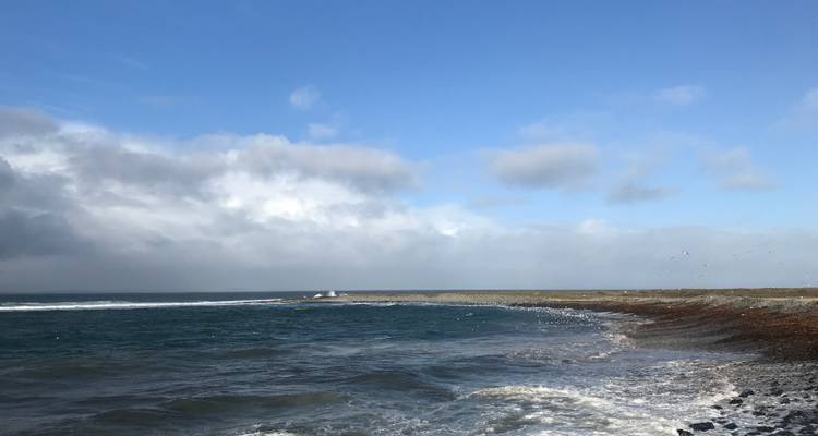 Campagne de l'île d'émeraude (Dublin à Ennis) (2025) - Collette 2
