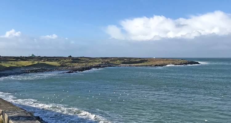 Campagne de l'île d'émeraude (Dublin à Ennis) (2025) - Collette 7