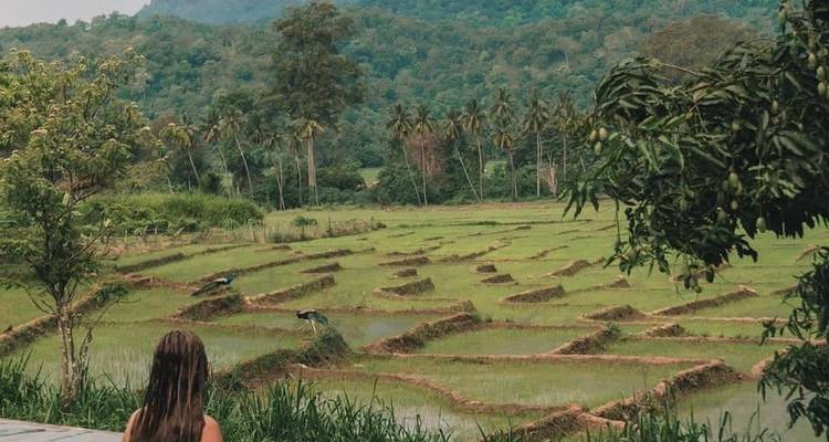 Sri Lanka Heritage, Wild Life & Beach Holiday - Mango Vacations 4