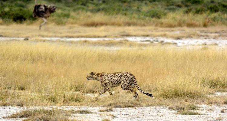 4 jours | 3 nuits en Tanzanie en rejoignant un groupe - Expeditions Gateways 5