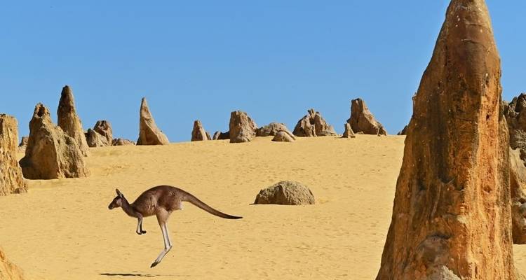Indian Pacific Train avec Sydney et Perth - Australia and New Zealand Travel Company 7