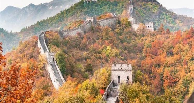 Chinesische Mauer, die sich im Herbst durch bewaldete Hügel schlängelt.