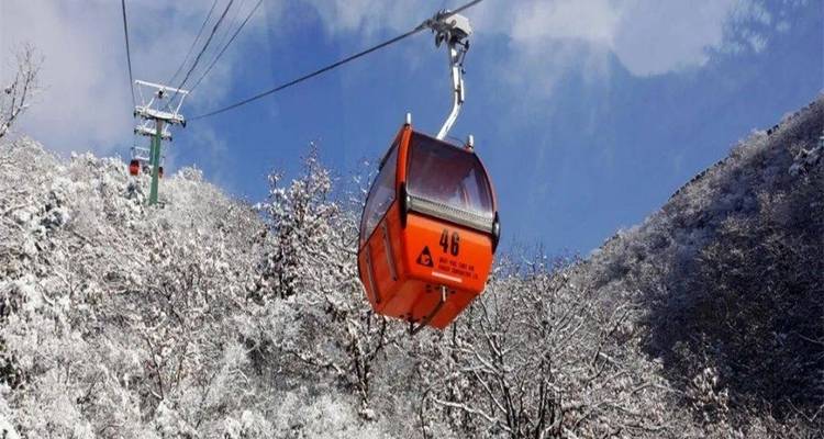 Seilbahn, die sich über schneebedeckte Bäume bewegt.