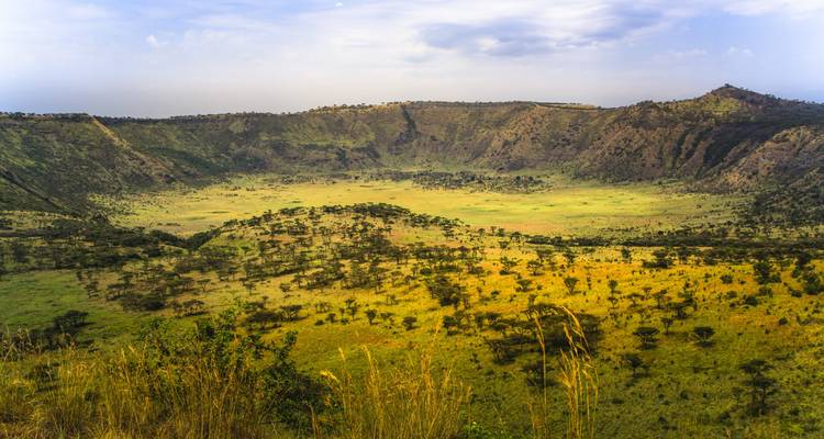 Geheimnisvolles Uganda - Gorilla-Trekking und Ruwenzori-Gebirge - ThomasWilkenSuedamerikatours 2