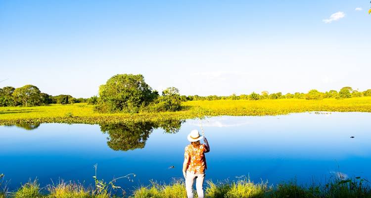 Person fishing by a lake with vibrant greenery.