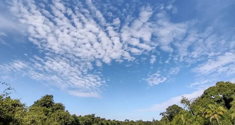 Sur les traces du jaguar (vols intérieurs inclus) - ETours Brazil DMC 2