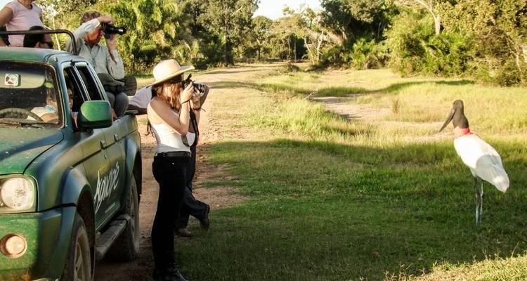 Sur les traces du jaguar (vols intérieurs inclus) - ETours Brazil DMC 3