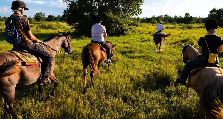 Sur les traces du jaguar (vols intérieurs inclus) - ETours Brazil DMC 7