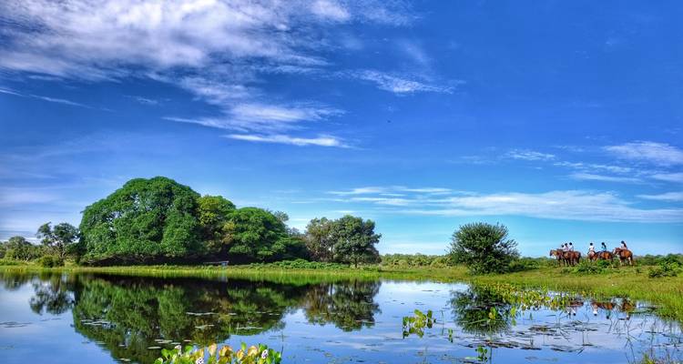Sur les traces du jaguar (vols intérieurs inclus) - ETours Brazil DMC 8