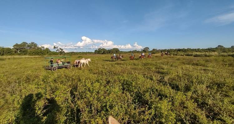 Sur les traces du jaguar (vols intérieurs inclus) - ETours Brazil DMC 9